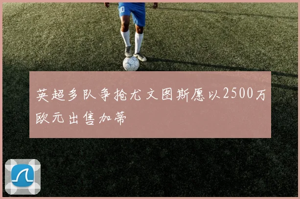 英超多队争抢尤文图斯愿以2500万欧元出售加蒂