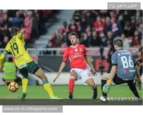 安德烈阿尔梅达频繁更换经纪公司一年内转战三家引发关注